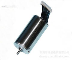 東莞市迪盛電機(jī) 特殊電機(jī)產(chǎn)品列表中指紋鎖的應(yīng)用解析